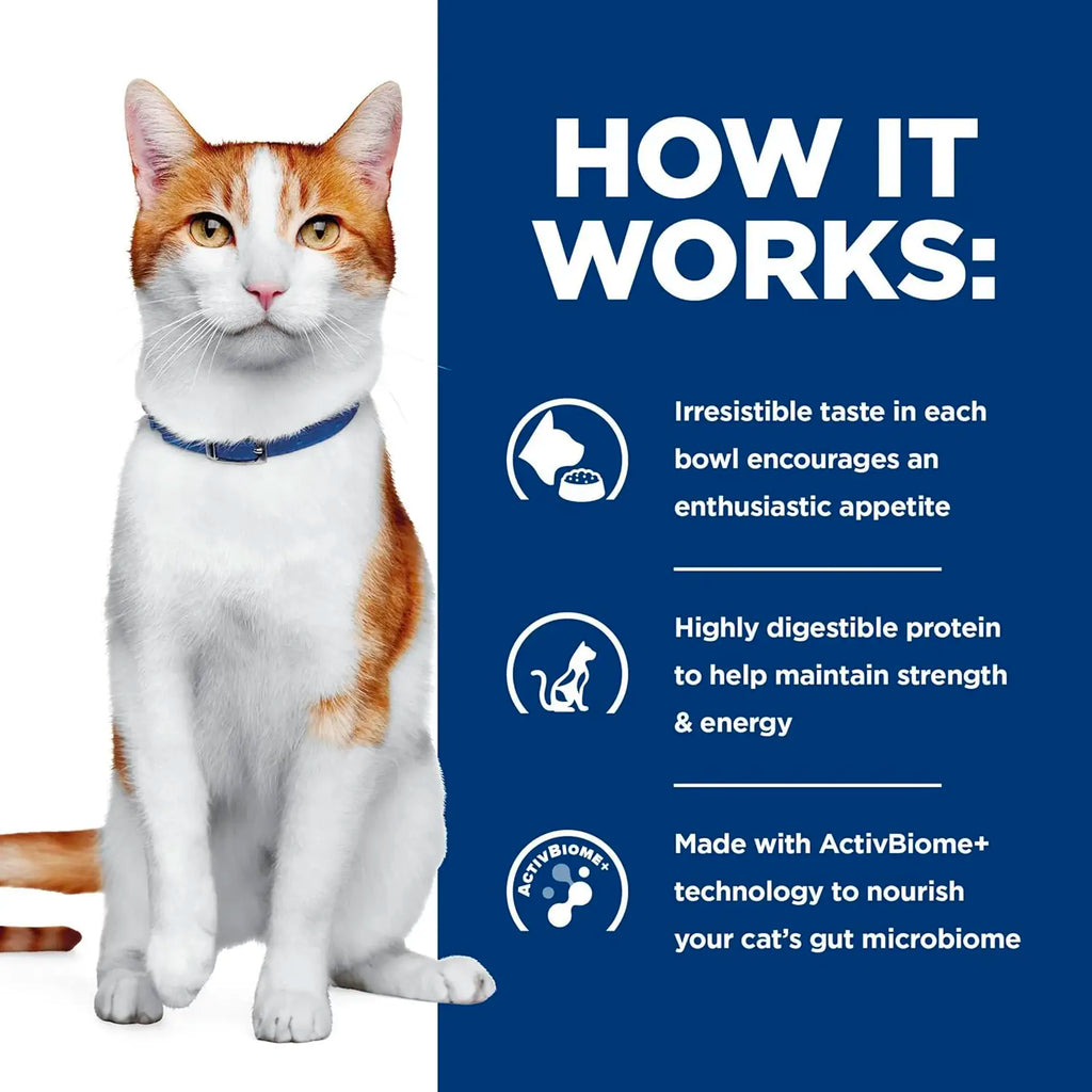 Hill's Prescription Diet - Feline ONC Cancer Care*