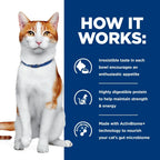 Hill's Prescription Diet - Feline ONC Cancer Care*