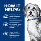 Hill's Prescription Diet - Canine ONC Cancer Care Chicken & Vegetable Stew 12.5oz