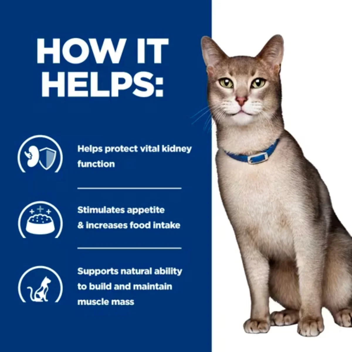 Hill's Prescription Diet - Feline k/d Kidney Care Pouch with Chicken 85g*