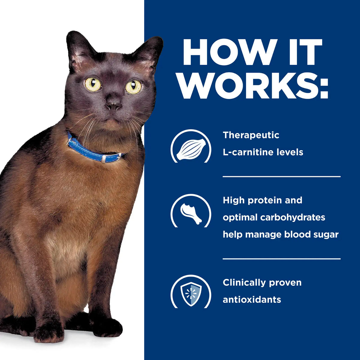 Hill's Prescription Diet - m/d GlucoSupport Feline with Chicken 4lbs