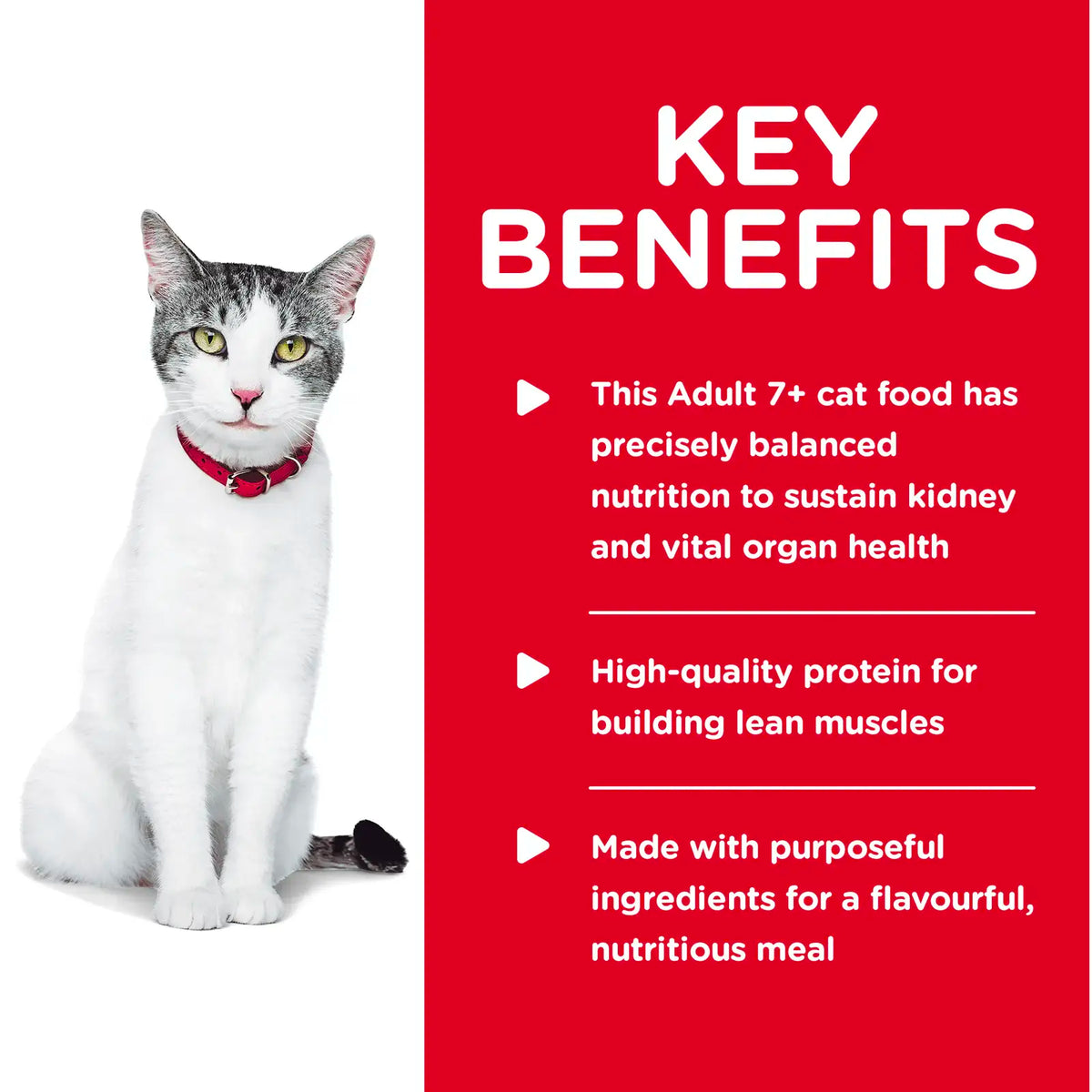 Hills Science Diet - Feline Adult 11+