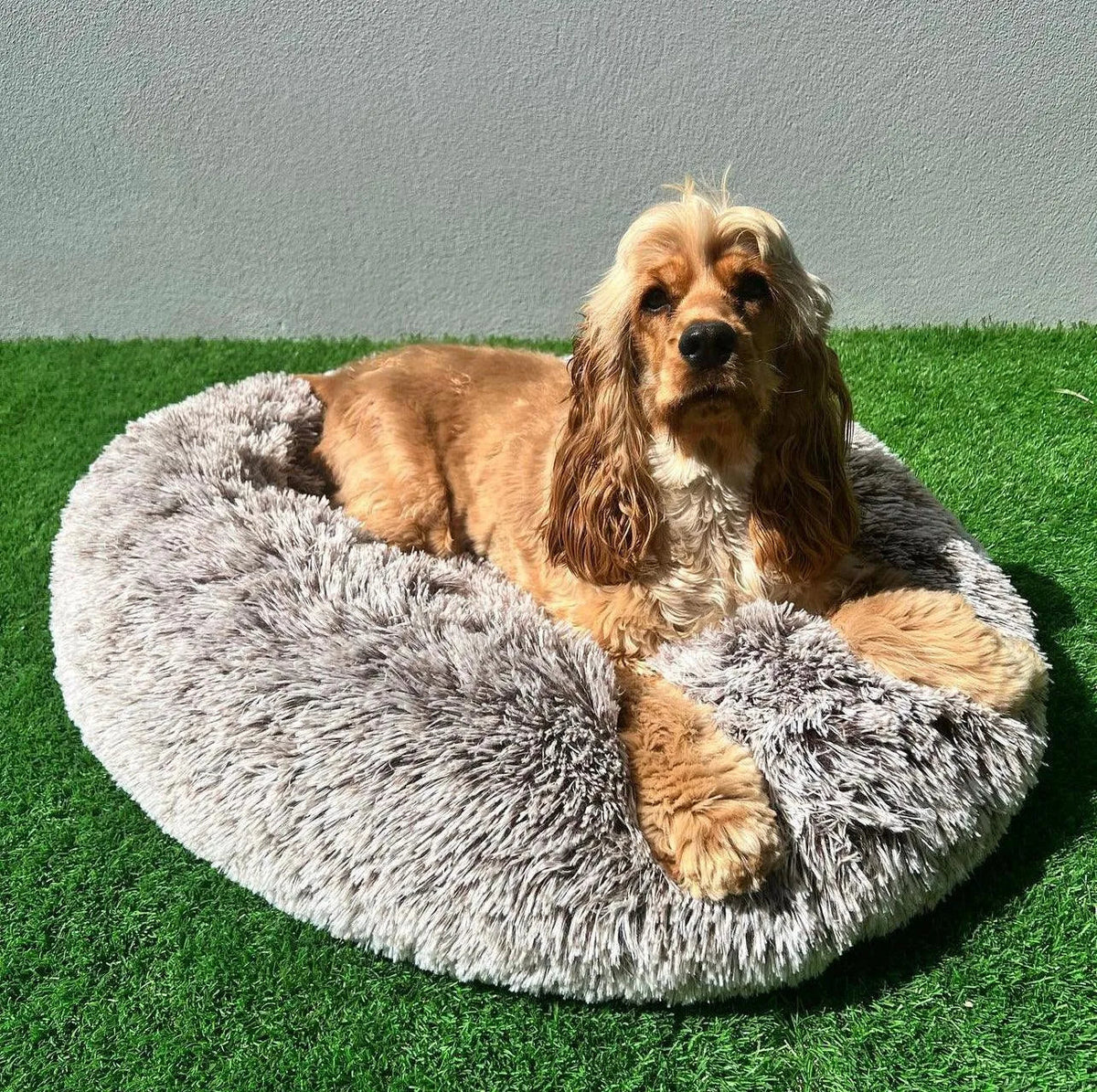 Cover For PaWz Calming Pet Bed