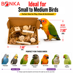 2028 Natural Foraging Bonka Box