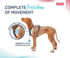 Halti Anatomy Harness
