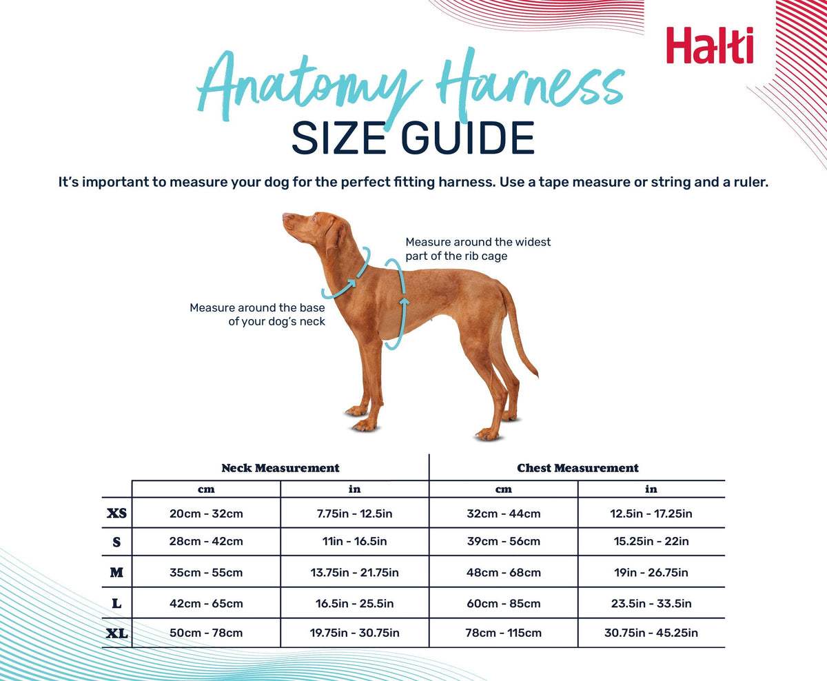 Halti Anatomy Harness
