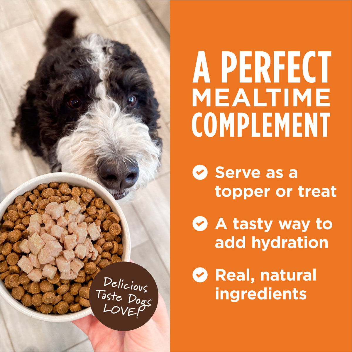 Instinct - Healthy Cravings Wet Pouch For Dogs - Real Chicken Recipe