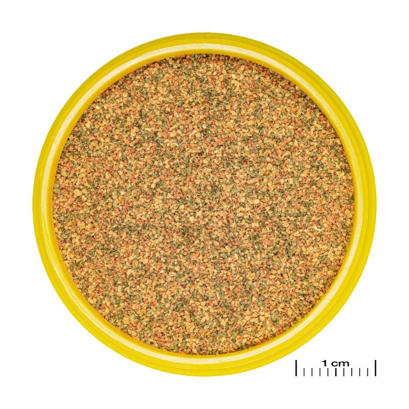 JBL ProNovo Bel Grano XXS  (Granules For Very Small Fishes)