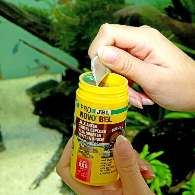 JBL ProNovo Bel Grano XXS  (Granules For Very Small Fishes)