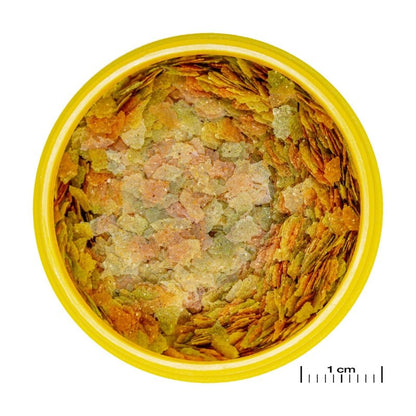 JBL ProNovo Betta Flakes S (For All Fishes)