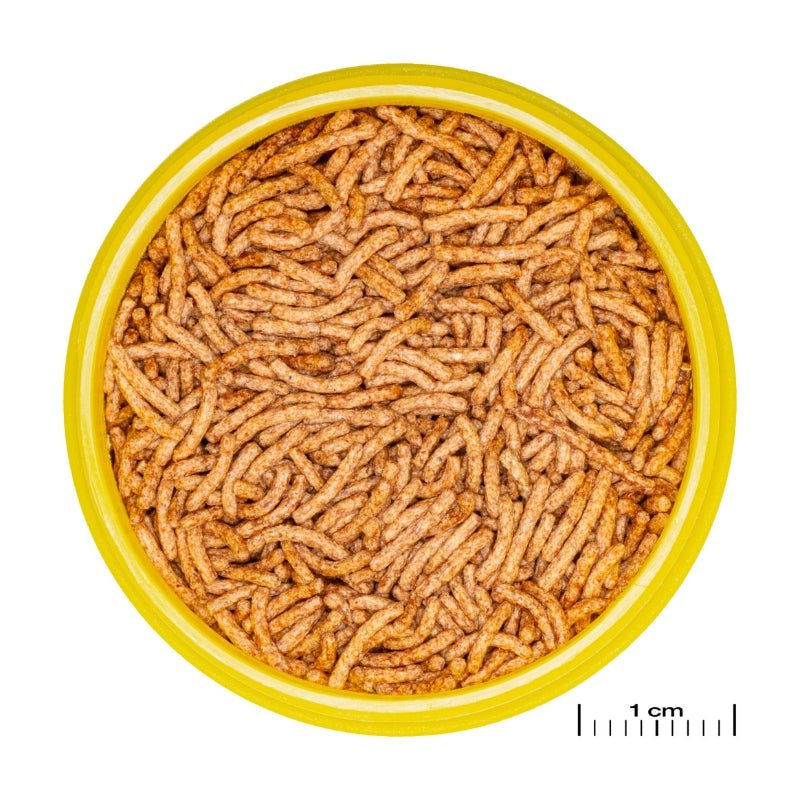 JBL ProNovo Betta Insect Stick S (insect treat for bettas)