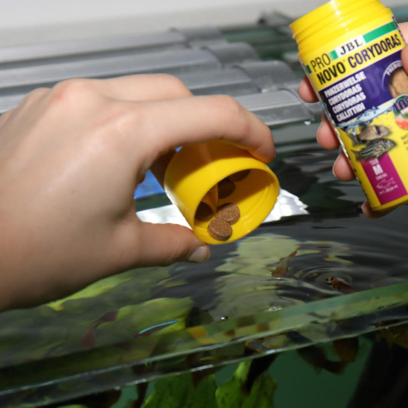 JBL ProNovo Corydoras Tab M (Tablet Food With Extra Spirulina)