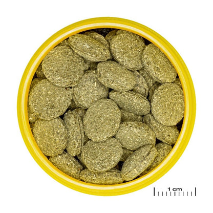 JBL ProNovo Pleco Wafer M/XL (Plecos Food With Natural Wood Fibres)