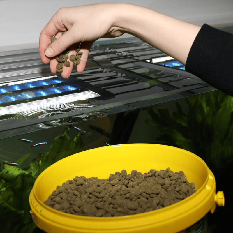JBL ProNovo Pleco Wafer M/XL (Plecos Food With Natural Wood Fibres)