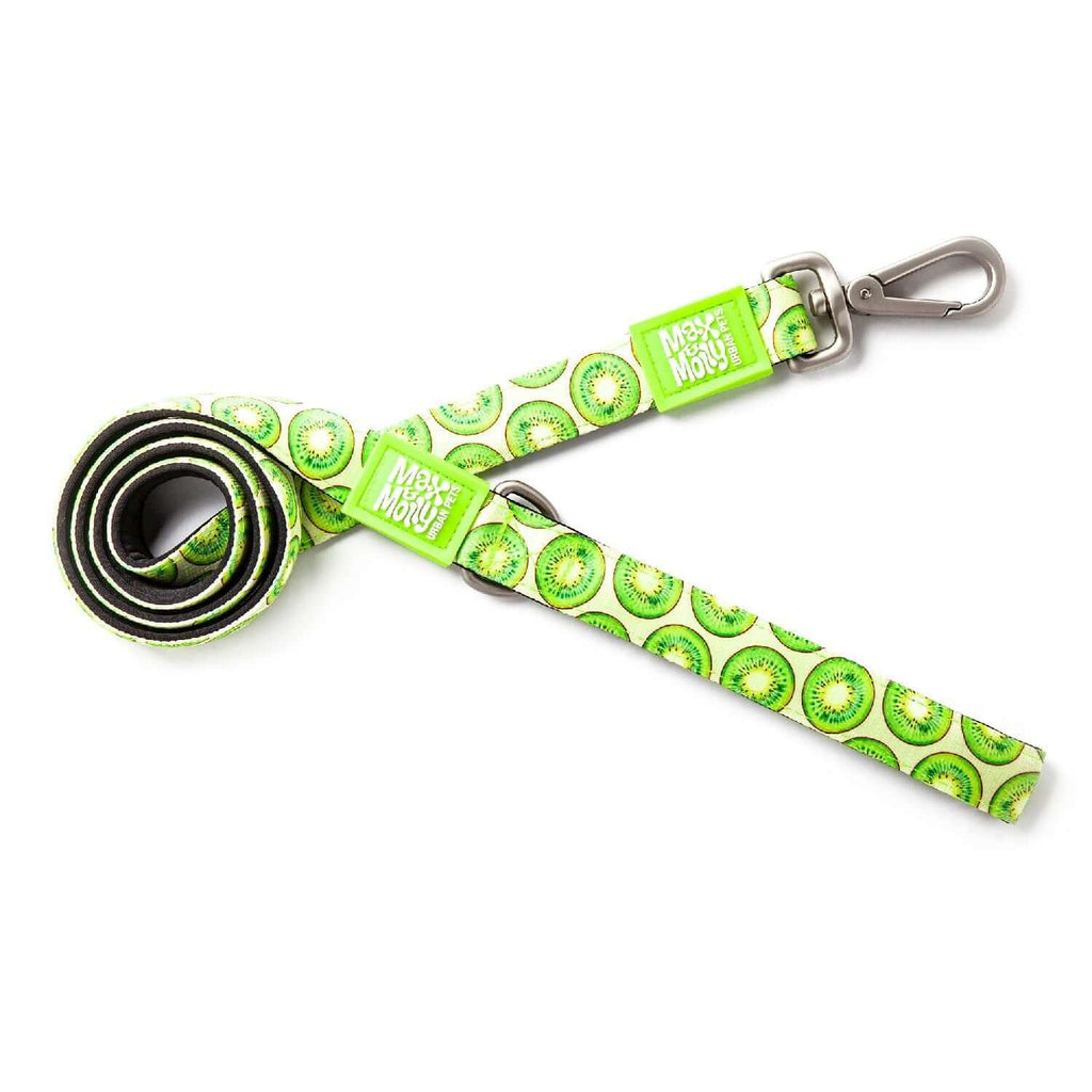Max & Molly Dog Leash