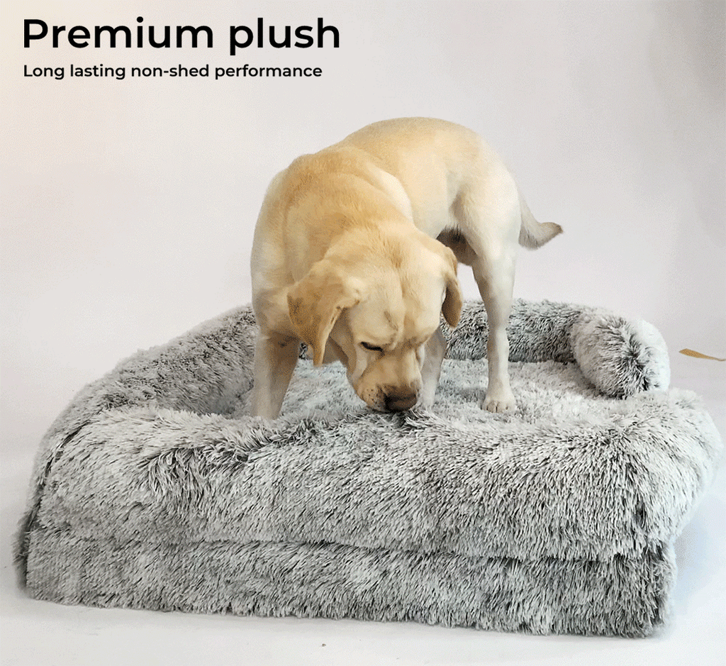 Pet Orthopaedic Bed
