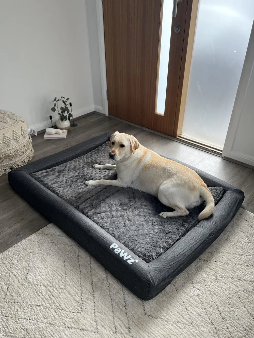 Premium Memory Foam Calming Dog Bed