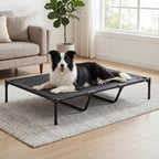 Pawz Elevated Dog Bed Heavy Duty Portable Cot  Waterproof Pet Raised Bed XL Size