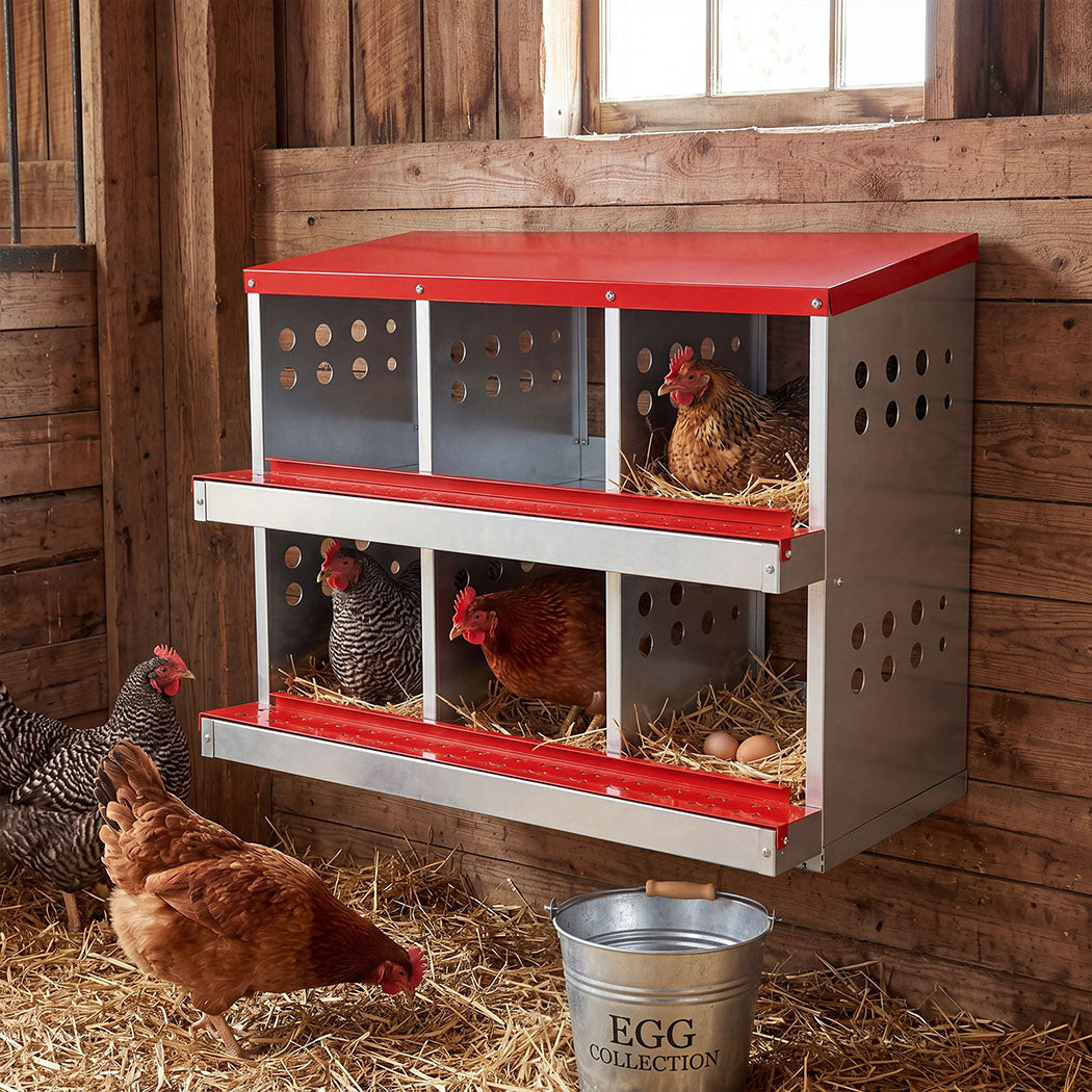 Chicken Nesting Box 6 Hole 2-Tier Roll Away Egg Collection Galvanized Coop