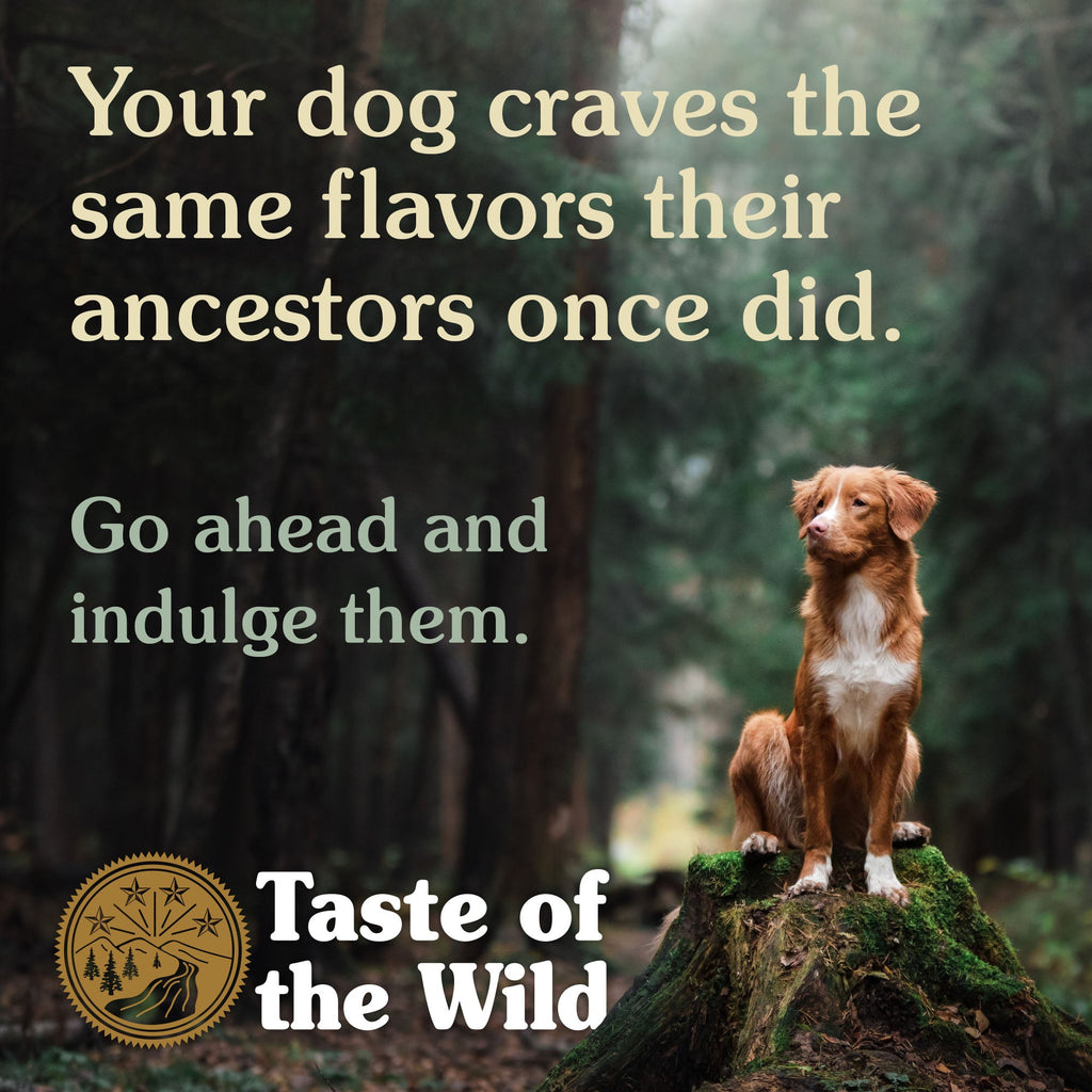 Taste of the Wild Pacific Stream Adult Dry Dog Food with Smoked Salmon