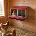 Chicken Nesting Boxes 2 Hole for Rolling Egg Collection Inside Outside