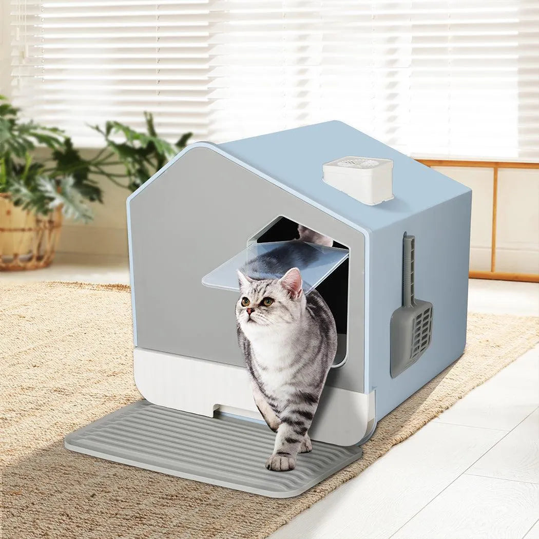 House Cat Litter Box
