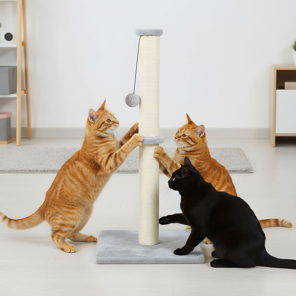 Cat Scratcher Scratching Post Natural Sisal Kitten Stable Ball Toys 74cm