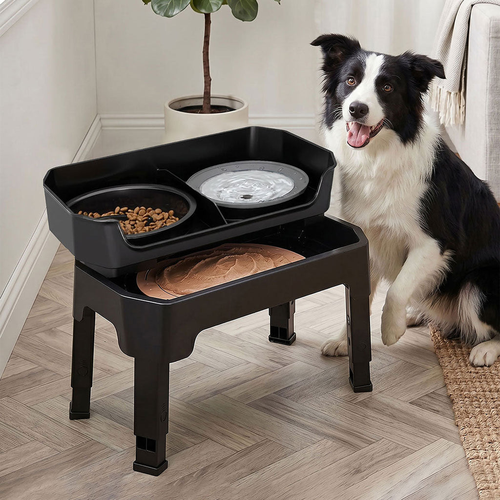Raised Dog Bowls Adjustable Elevated Feeder Slow Feeder Lick Mat Foldable