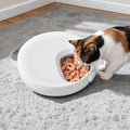 4 Meals Automatic Timer Pet Feeder Smart Chilled Wet Dry Food Dispenser