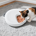 4 Meals Automatic Timer Pet Feeder Smart Chilled Wet Dry Food Dispenser