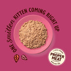 Lily's Kitchen - Wet Food For Cats - Chicken Paté for Kittens 85g
