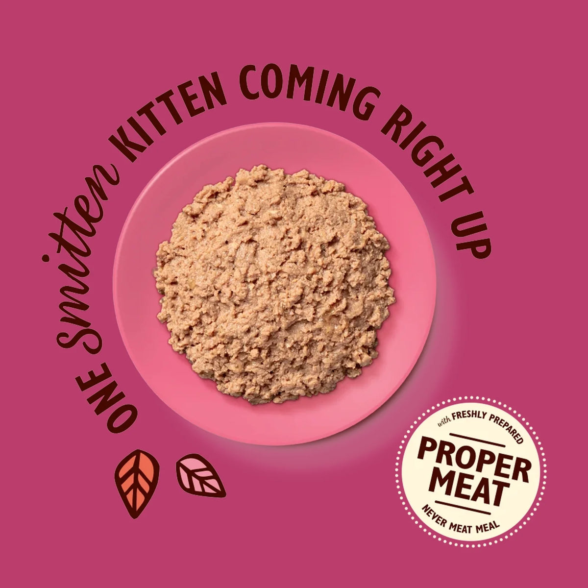 Lily's Kitchen - Wet Food For Cats - Chicken Paté for Kittens 85g