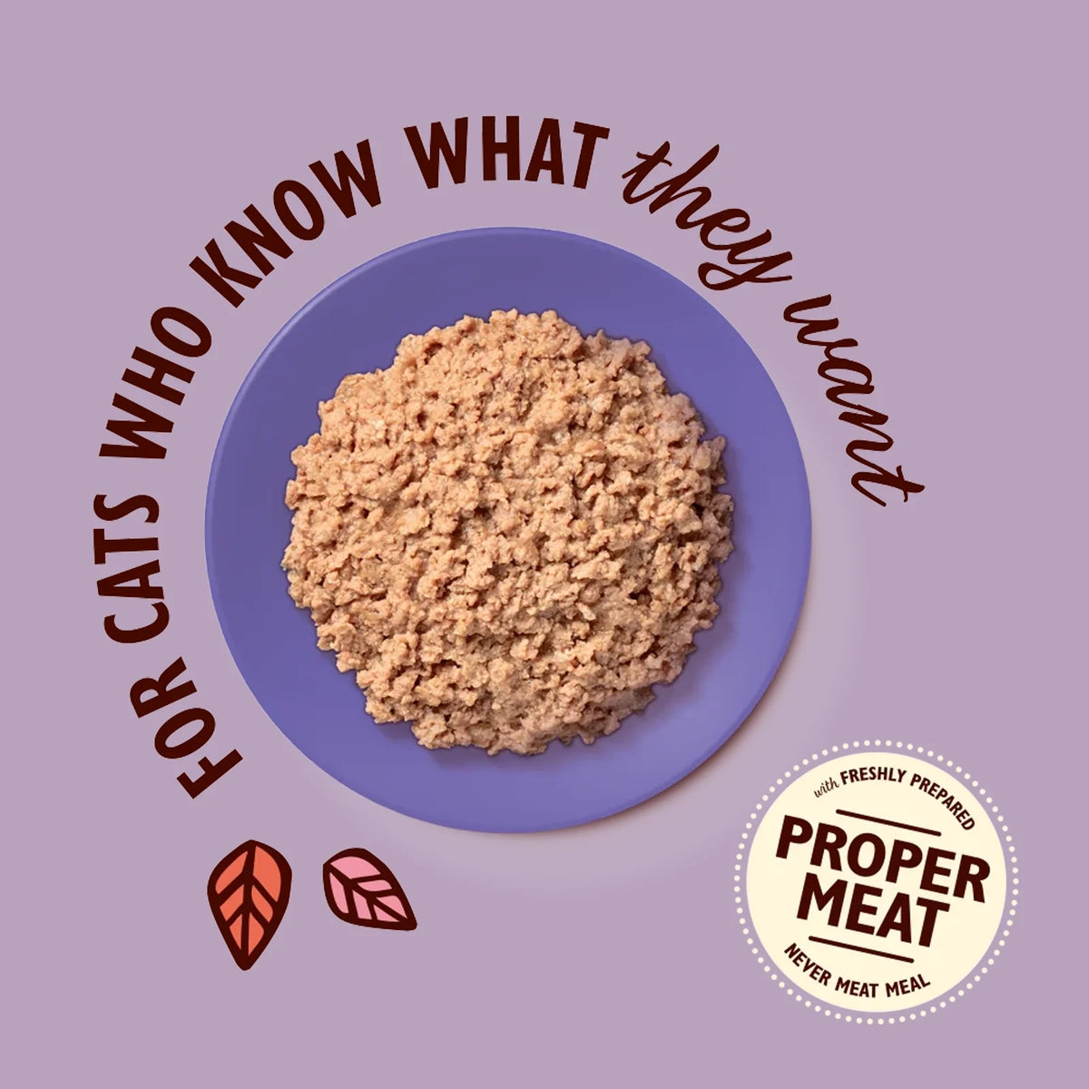 Lily's Kitchen - Wet Food For Cats - Chicken Paté for Mature Cats 85g