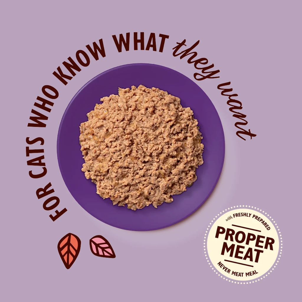 Lily's Kitchen - Wet Food For Cats - Chicken & Cod Paté for Mature Cats 85g