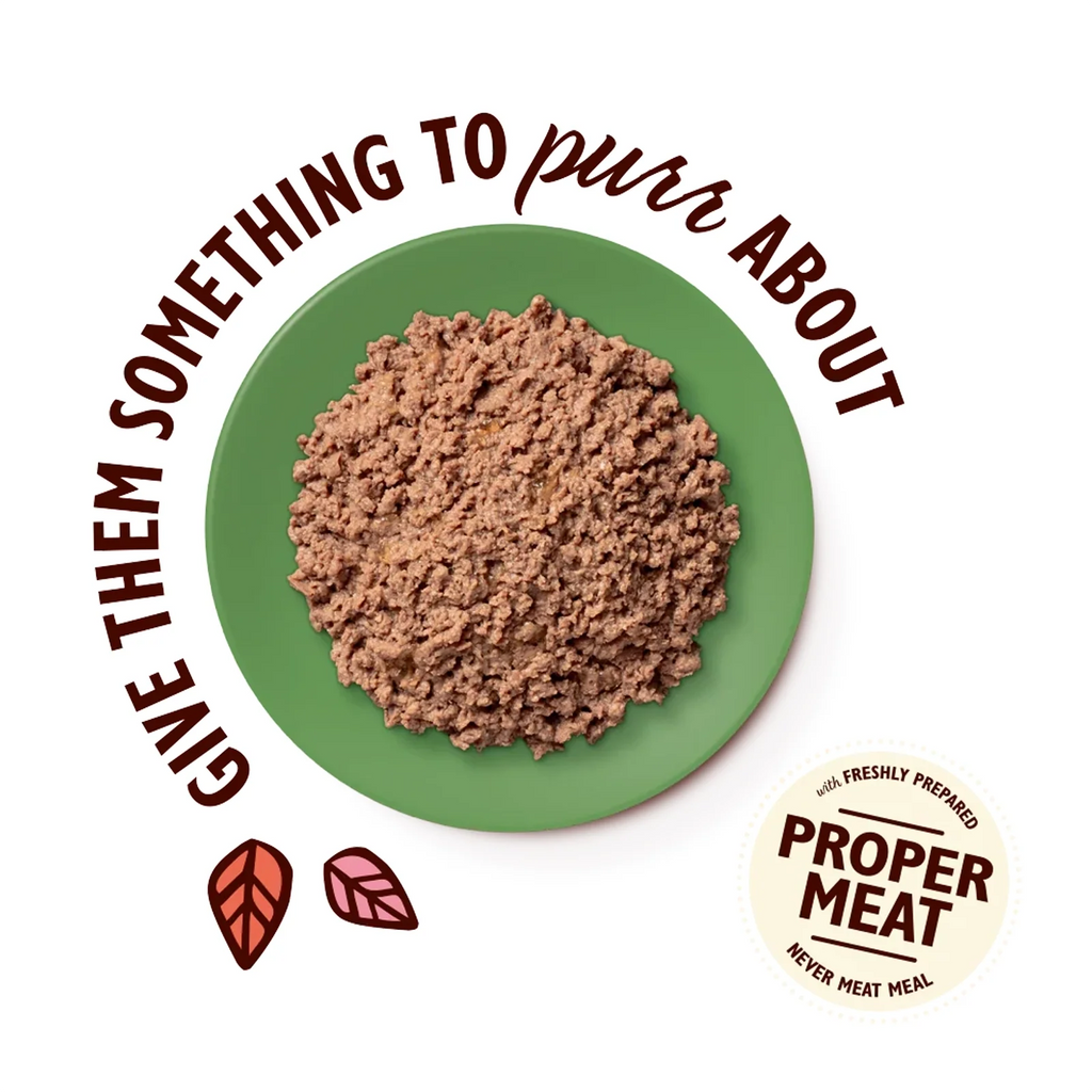 Lily's Kitchen - Wet Food For Cats - Lamb Pate 85g