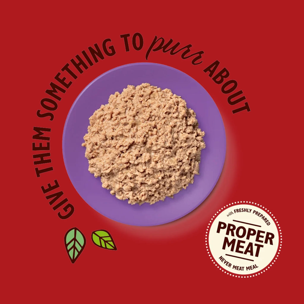 Lily's Kitchen - Wet Food For Cats - Organic Turkey Paté 85g