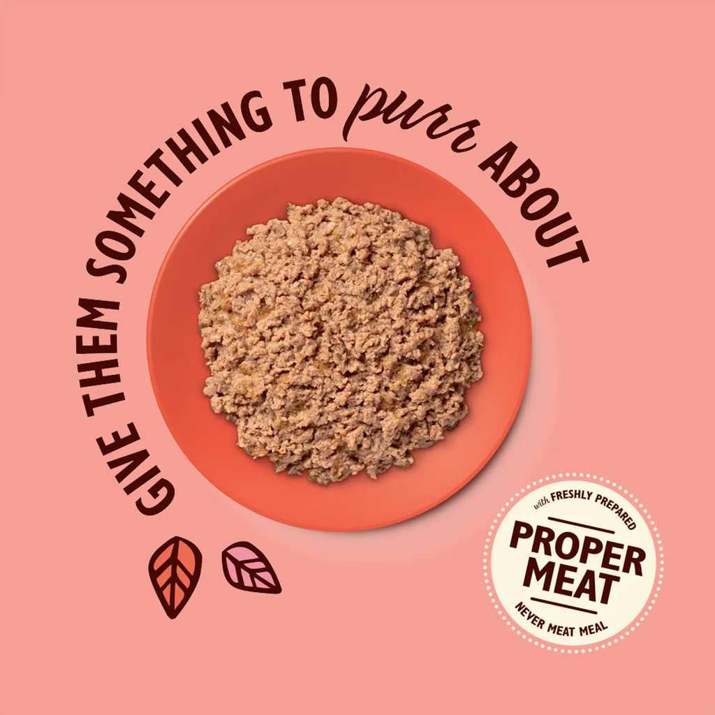 Lily's Kitchen - Wet Food For Cats - Salmon & Chicken with Prawns Paté 85g
