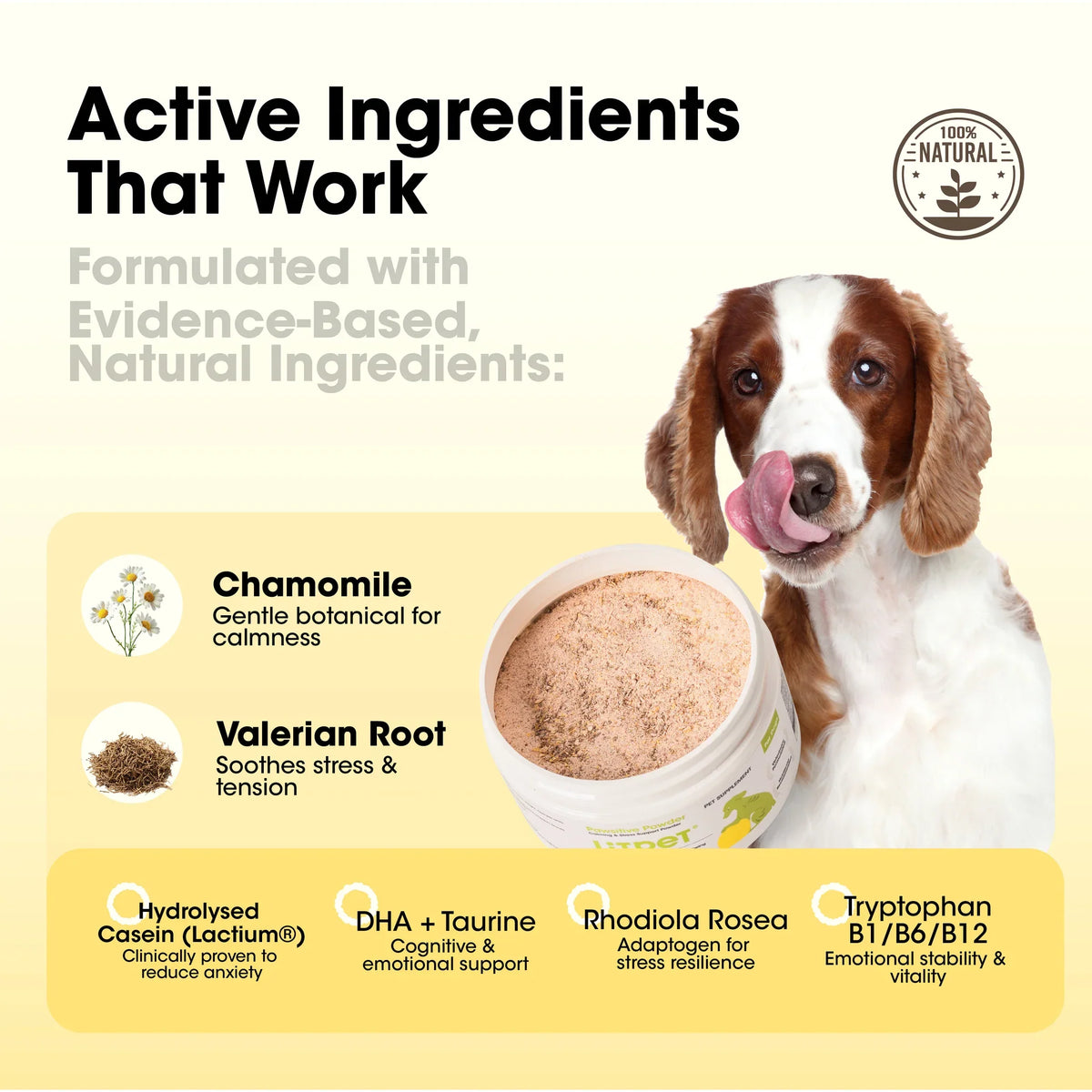 LitPet - Pawsitive Powder Calming & Stress Relief Support for Dogs