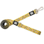 Max & Molly Dog Leash