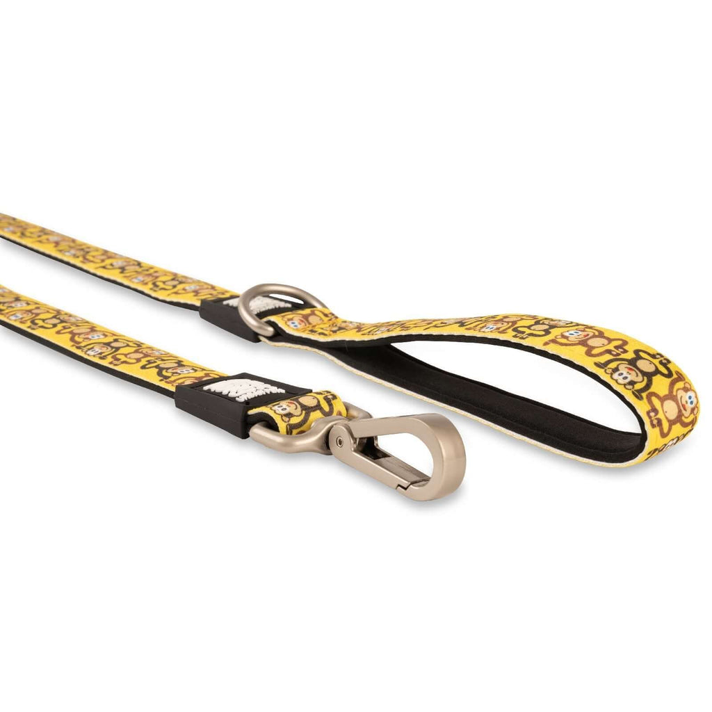 Max & Molly Dog Leash