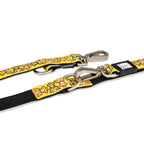 Max & Molly Dog Leash