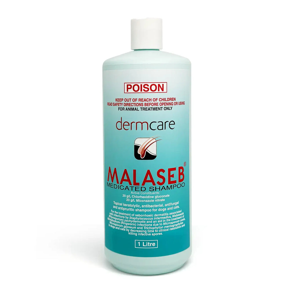 Malaseb Medicated Shampoo