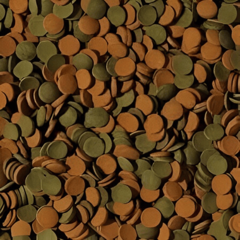 Tropical Mini Wafers Mix (boost with spirulina and astaxanthin)