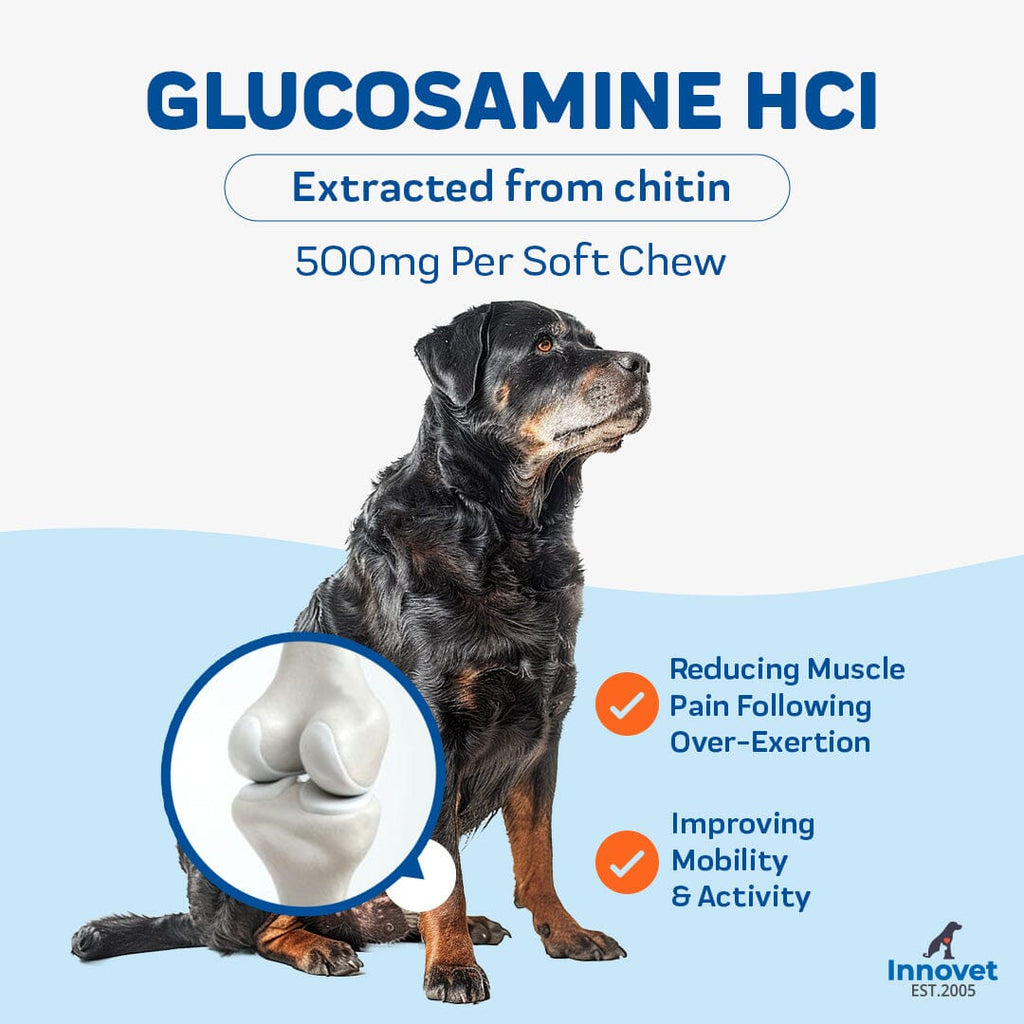 Advanced Mobility Support Chews for Dogs