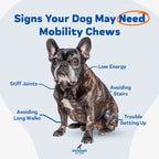 Advanced Mobility Support Chews for Dogs