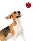 Nerf Dog Toy - Squeak Tennis Balls 6.25cm 12-Pack