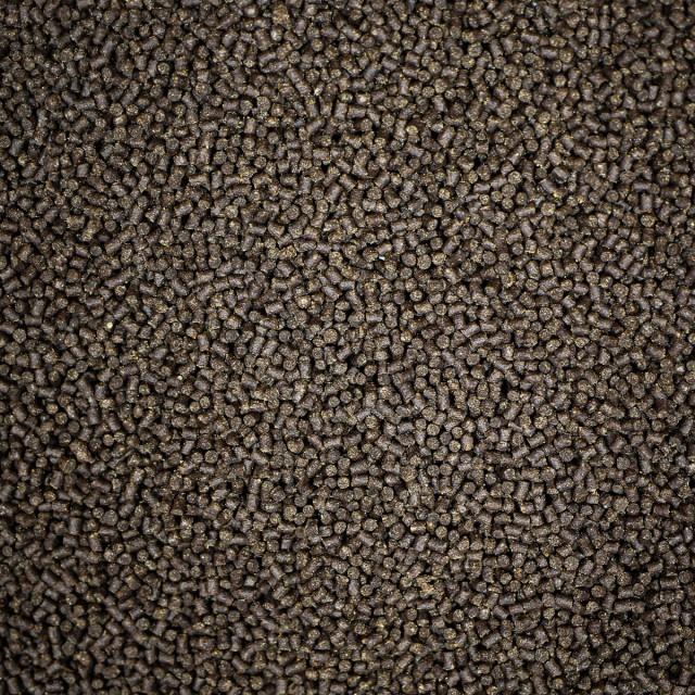 NT LABS Pro-f Fancy Goldfish (sinking pellet)
