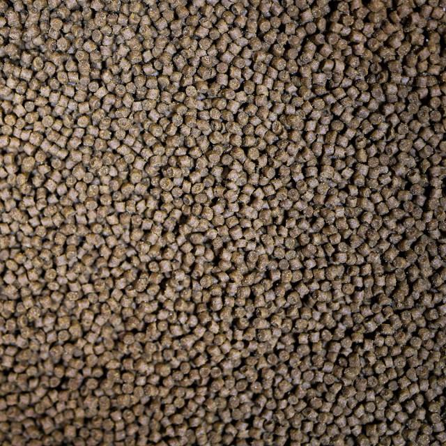 NT LABS Pro-f Catfish Pellet (sinking granules)