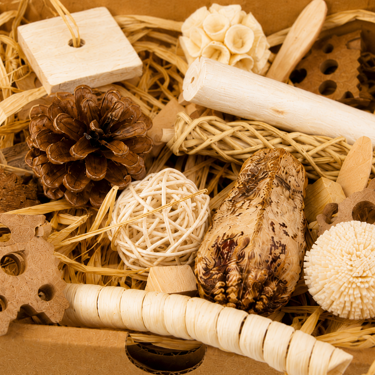 2028 Natural Foraging Bonka Box