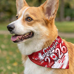 Pet Soccer - Personalized Pet Bandana